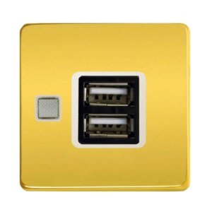 FD-212USBOR-A Розетка USB с накладкой из латуни, Real Gold+беж