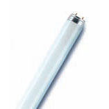 G13 T8  L15/840 Лампа люминесцентная белый Длина 438